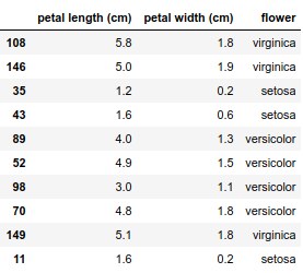 iris dataset sample